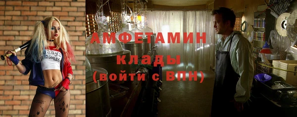 сатива Абинск