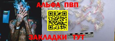стафф Кингисепп