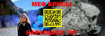 стафф Кингисепп