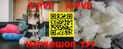 стафф Кингисепп