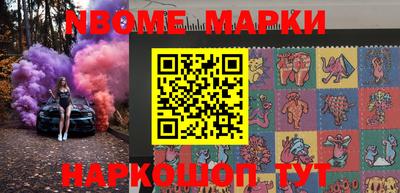 стафф Кингисепп