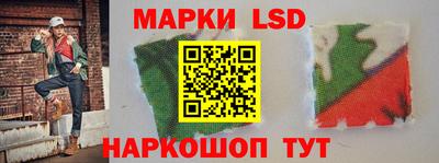 стафф Кингисепп