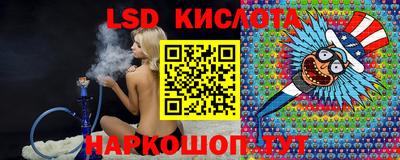 стафф Кингисепп