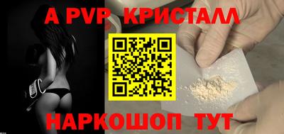 стафф Кингисепп