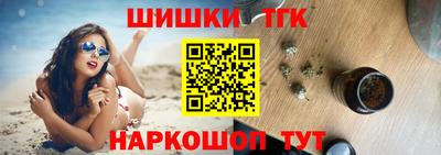 стафф Кингисепп