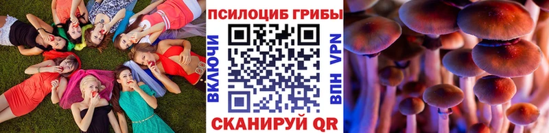Псилоцибиновые грибы мицелий  Усть-Илимск 