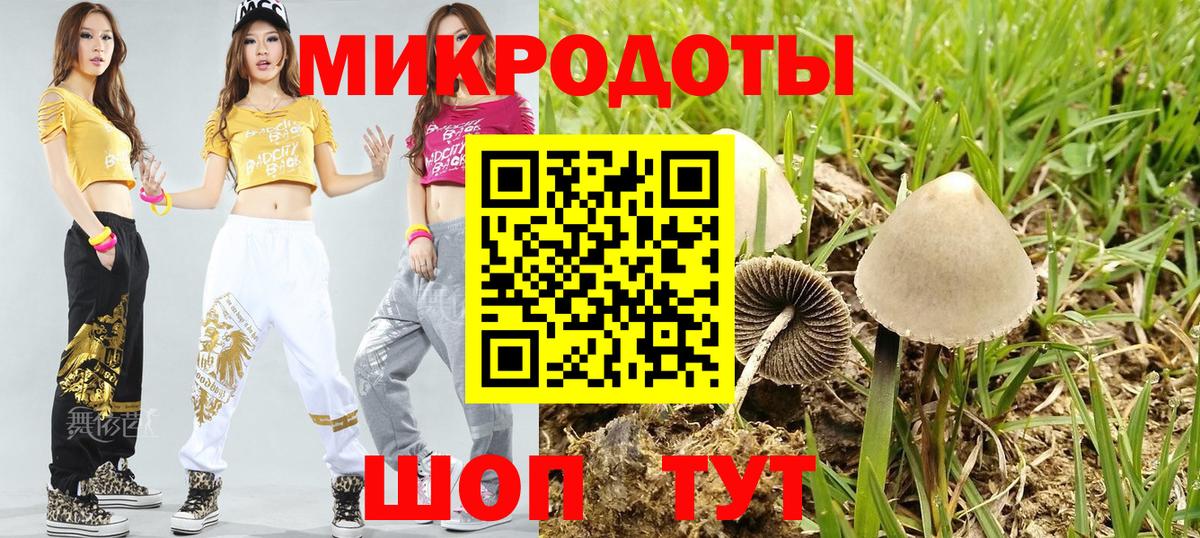 Псилоцибиновые грибы Psilocybe Усть-Илимск
