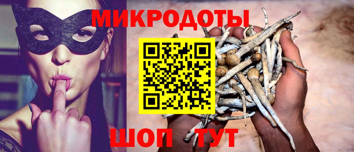 Усть-Илимск  Псилоцибиновые грибы мухоморы  Вход с VPN 